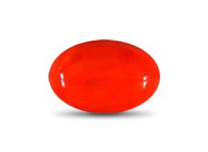 Red Coral